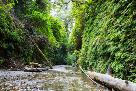 アメリカにあるカリフォルニアのナパエリアの様子